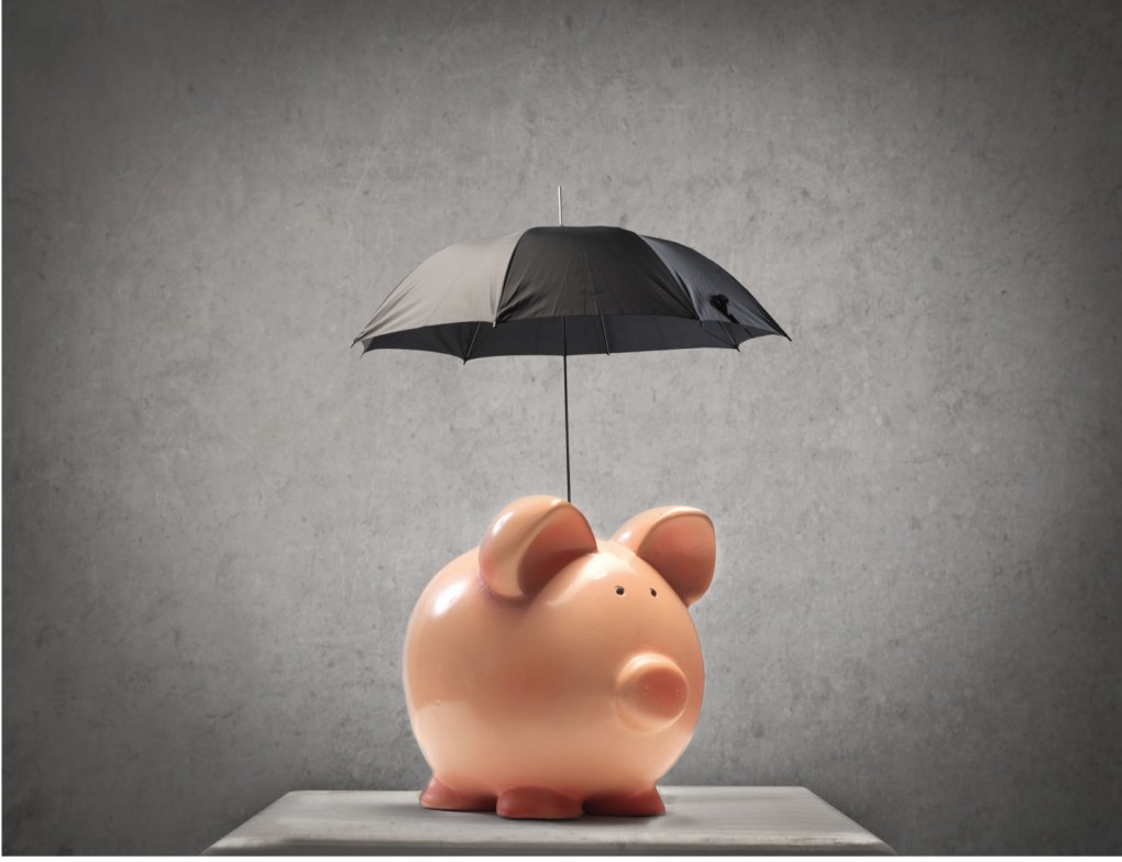 Asset Protection at ApplebyMall
